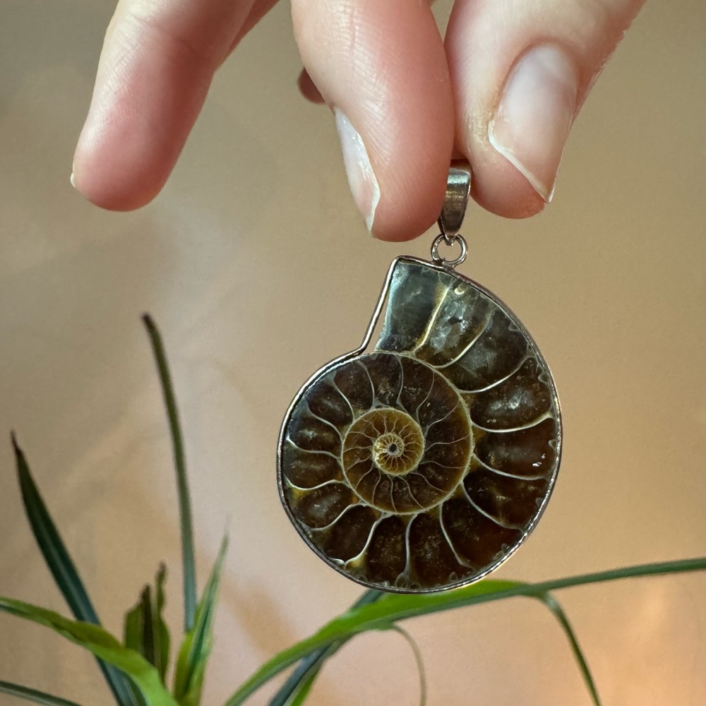 Ammonite Fossil Pendant